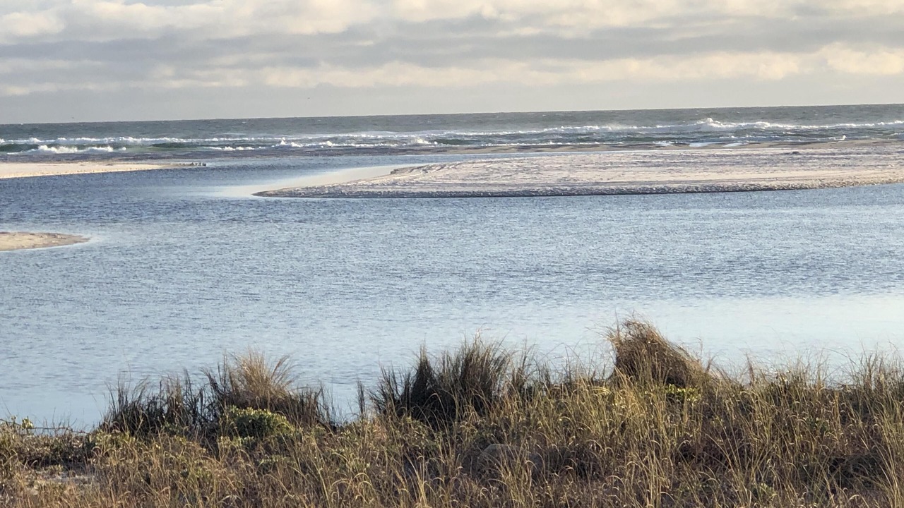 Photo of Others in Grayton Beach