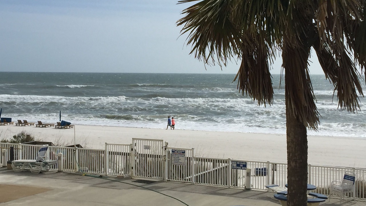 Photo of Others in Biltmore Beach