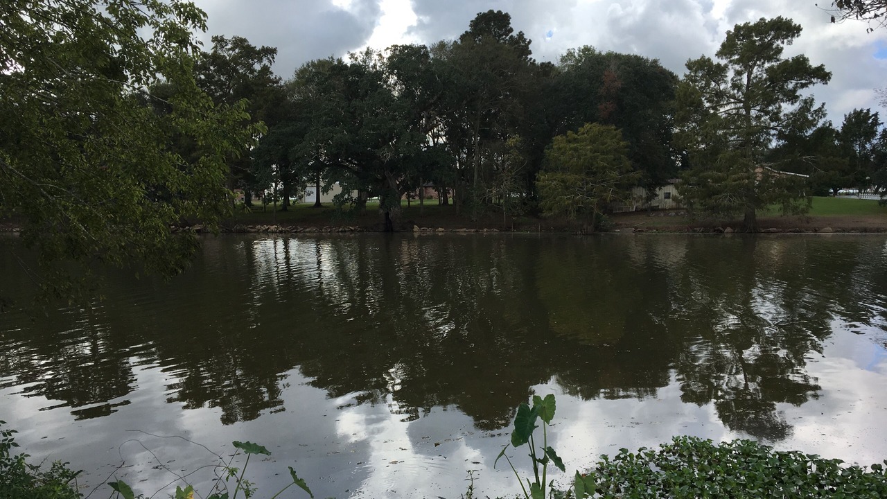 Photo of Outdoor in Iberia Parish