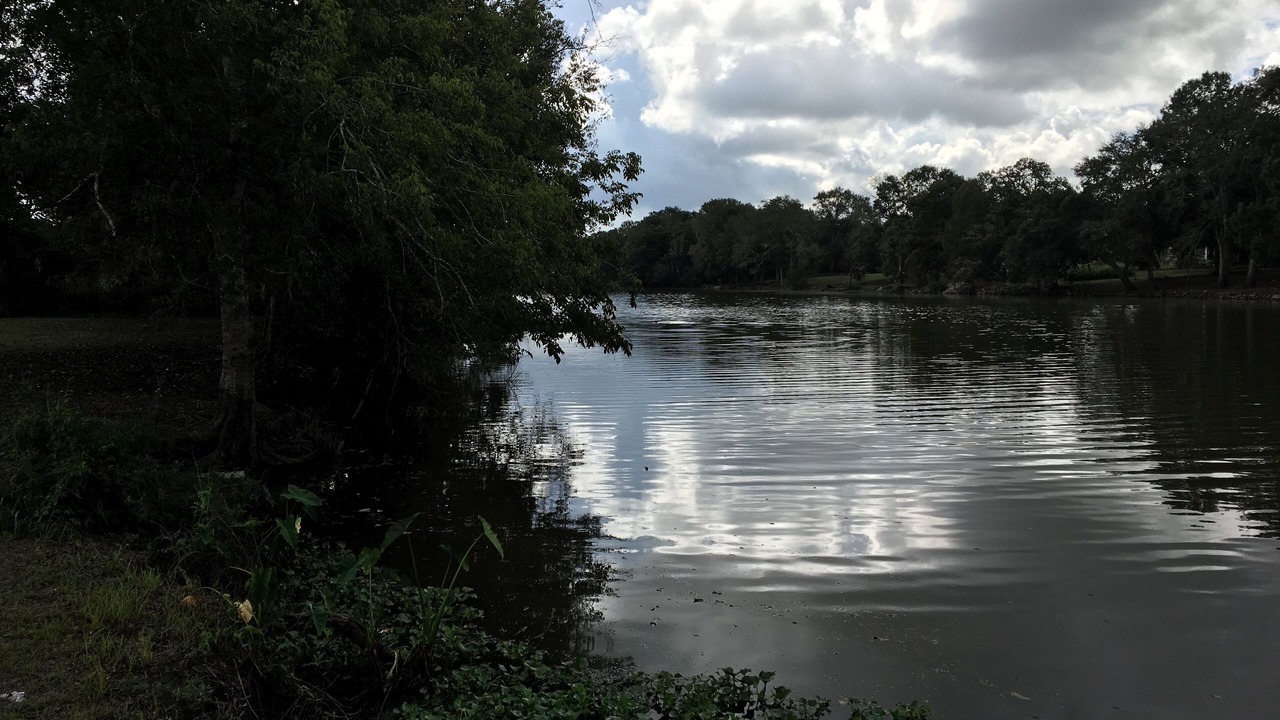 Photo of Others in Iberia Parish
