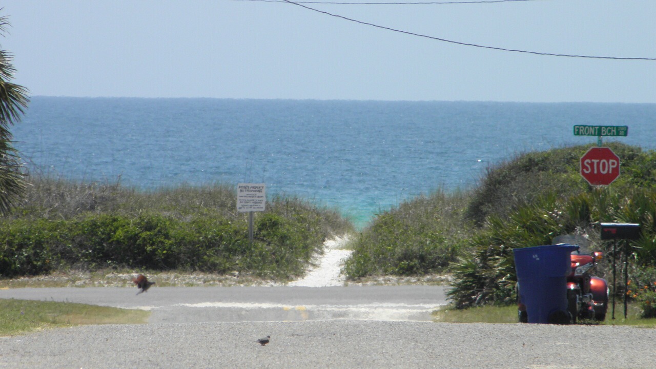 Photo of Others in Sunnyside On The Gulf
