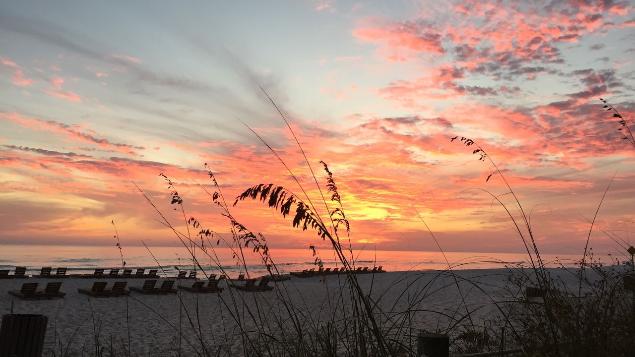 Photo of Others in Miramar Beach