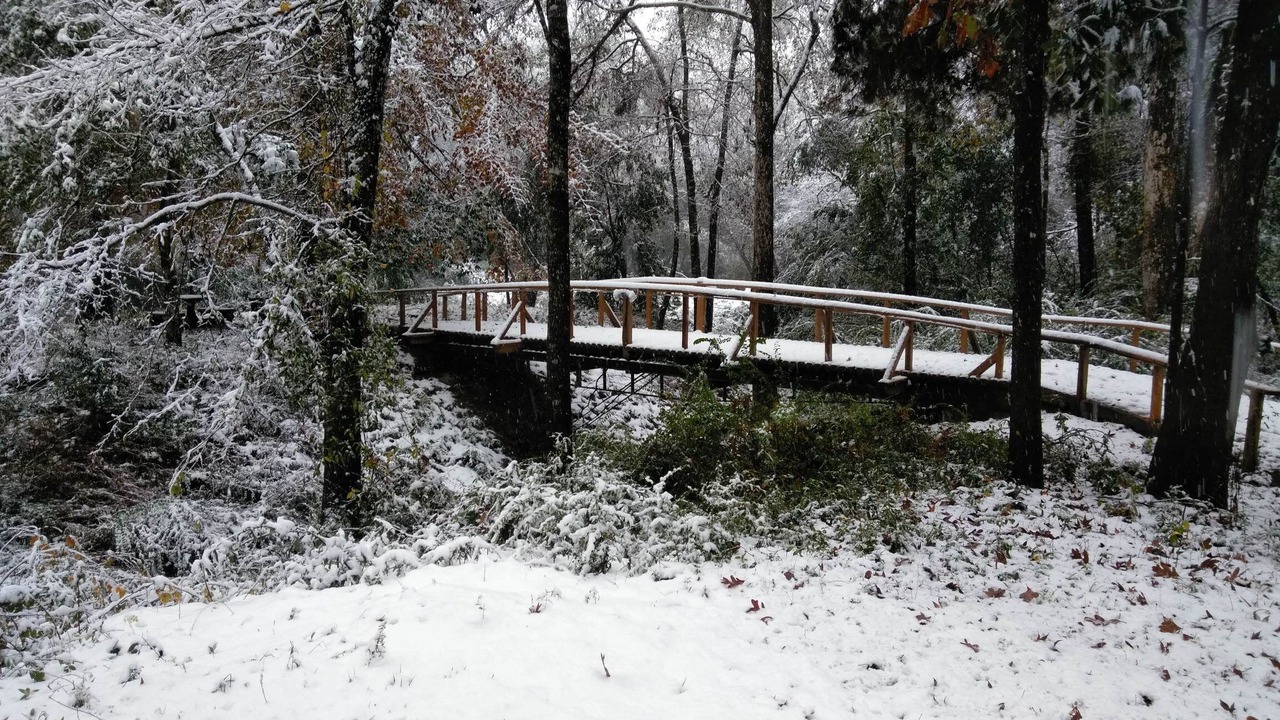 Photo of Outdoor in Folsom
