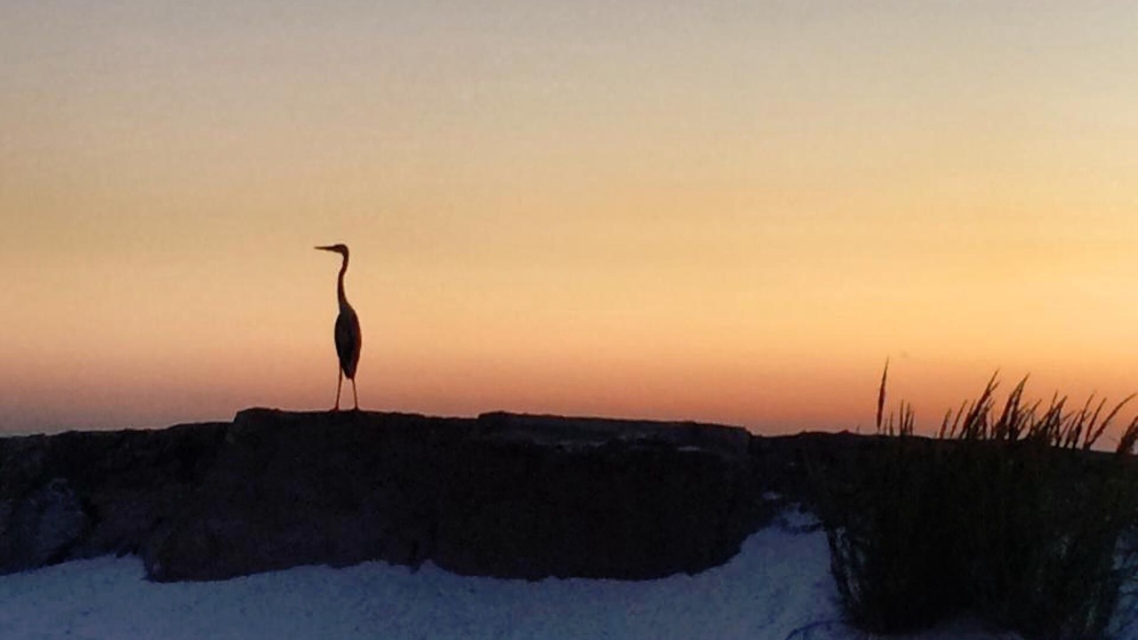 Photo of Others in Mexico Beach