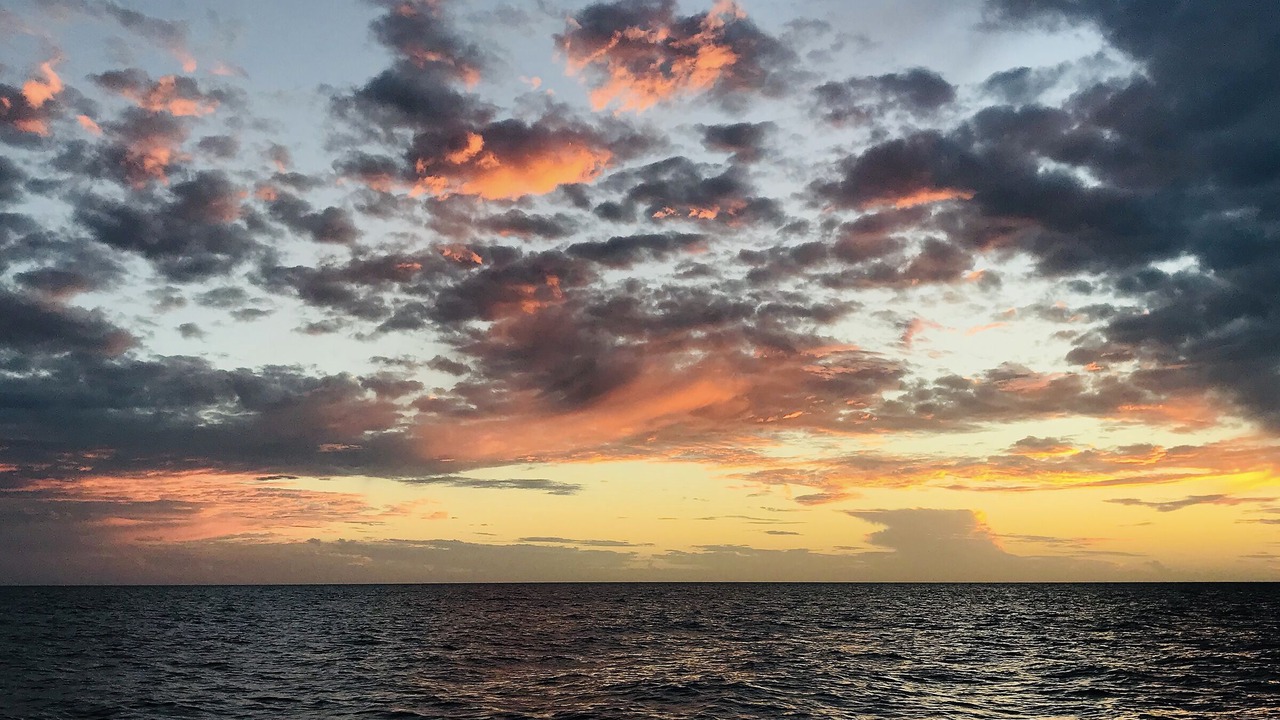 Photo of Others in Mexico Beach
