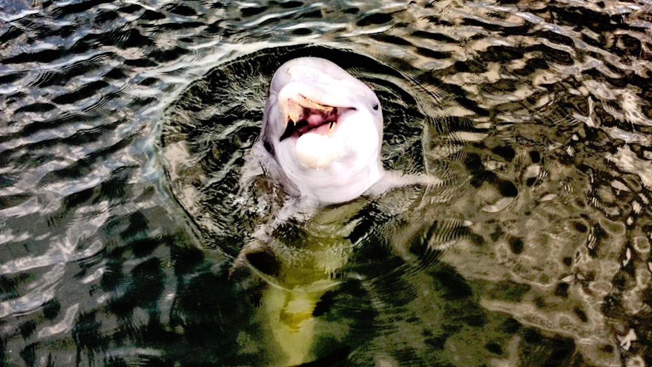 Photo of Outdoor in Mexico Beach