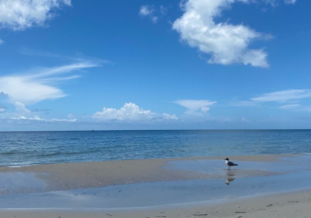 Photo of Others in Mexico Beach