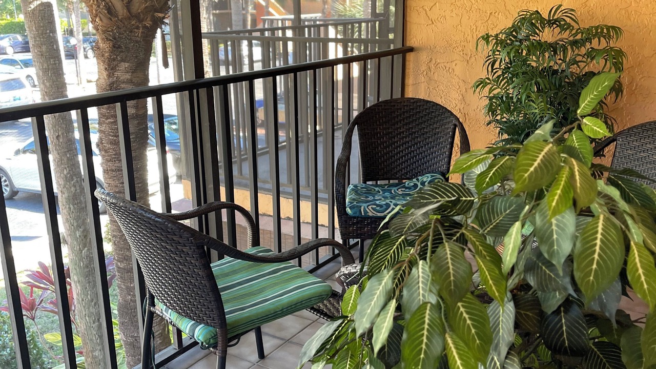 Photo of Outdoor in East Naples