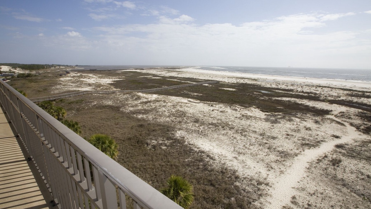Photo of Others in Dauphin Island