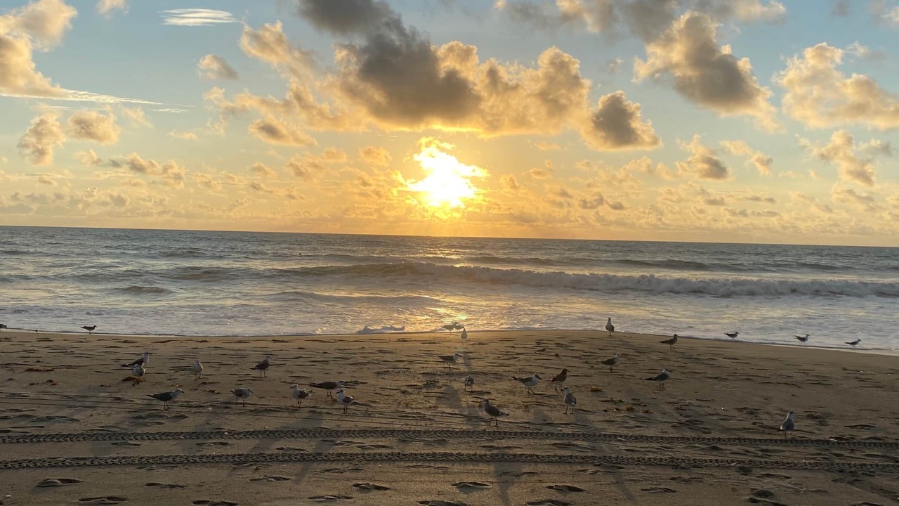 Photo of Others in Cocoa Beach