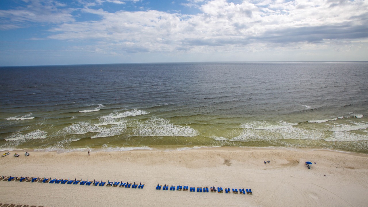 Photo of Others in Miramar Beach
