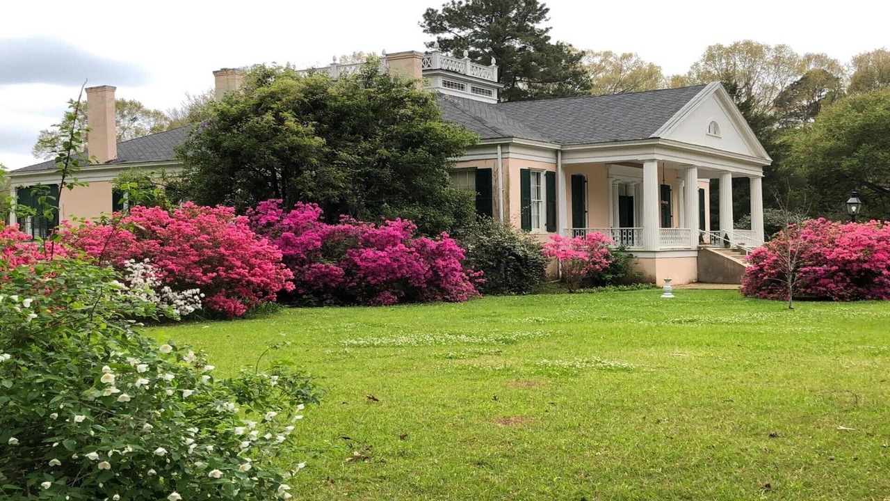 Photo of Outdoor in Natchez