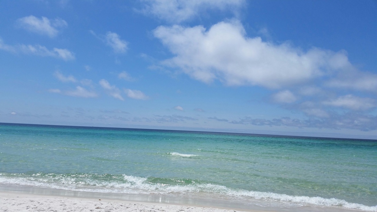 Photo of Others in Kiska Beach