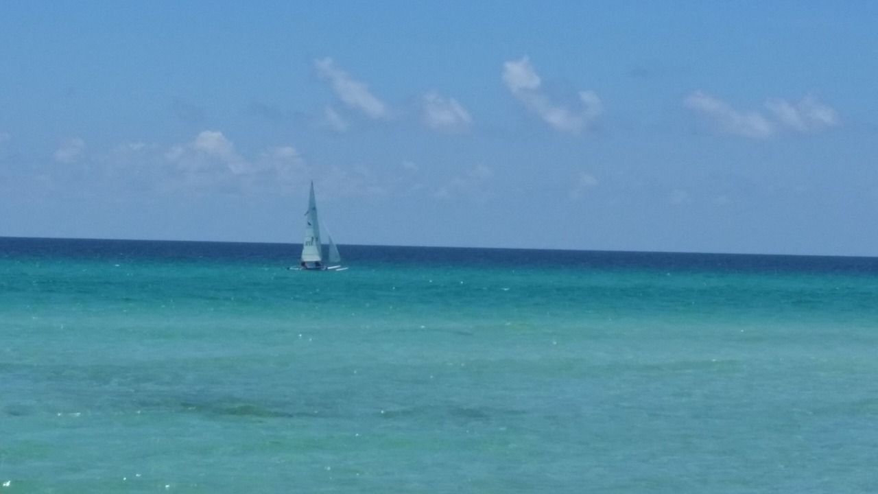 Photo of Others in Kiska Beach