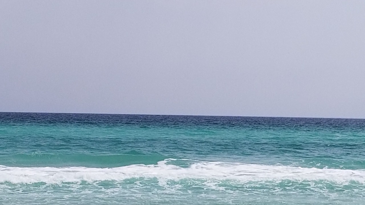 Photo of Others in Kiska Beach