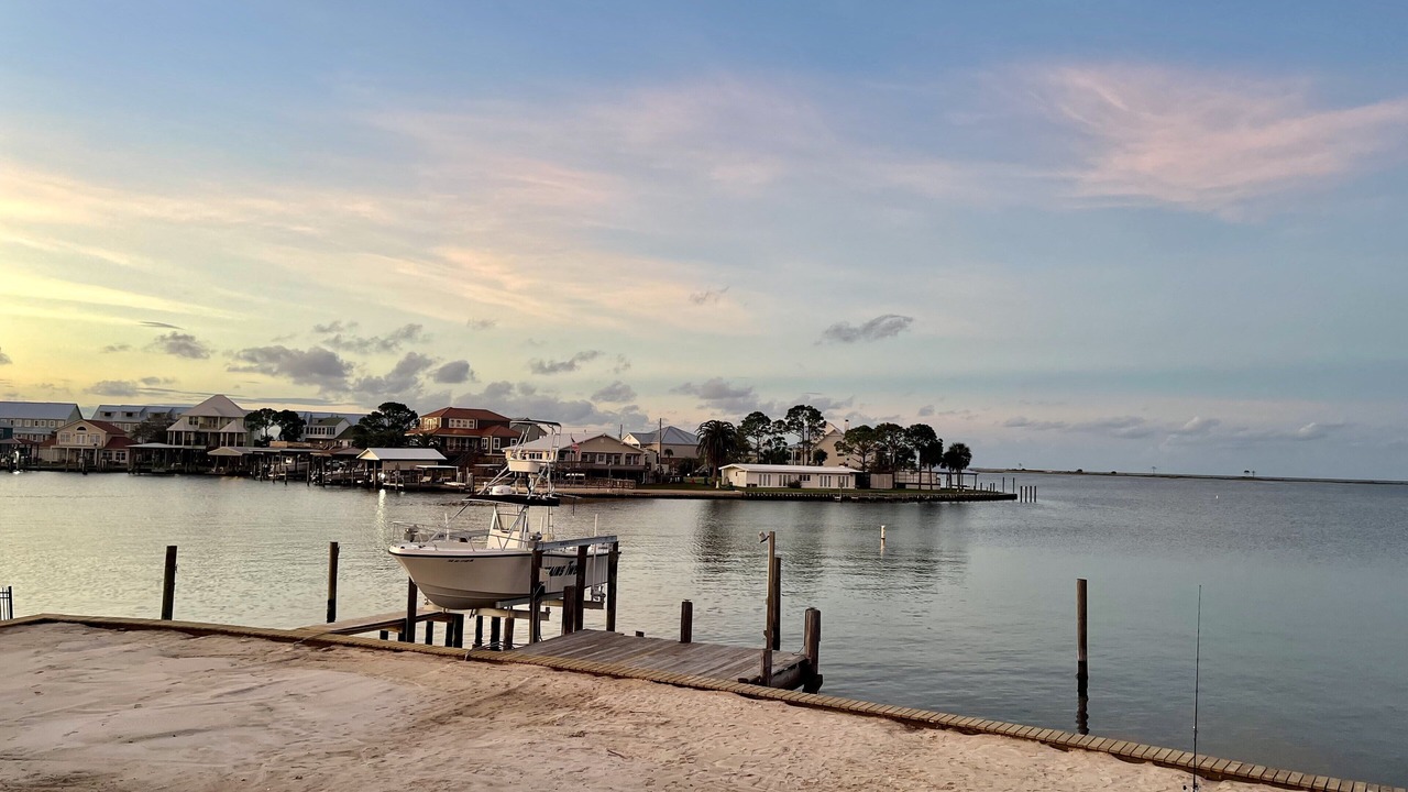 Photo of Others in Indian Bay