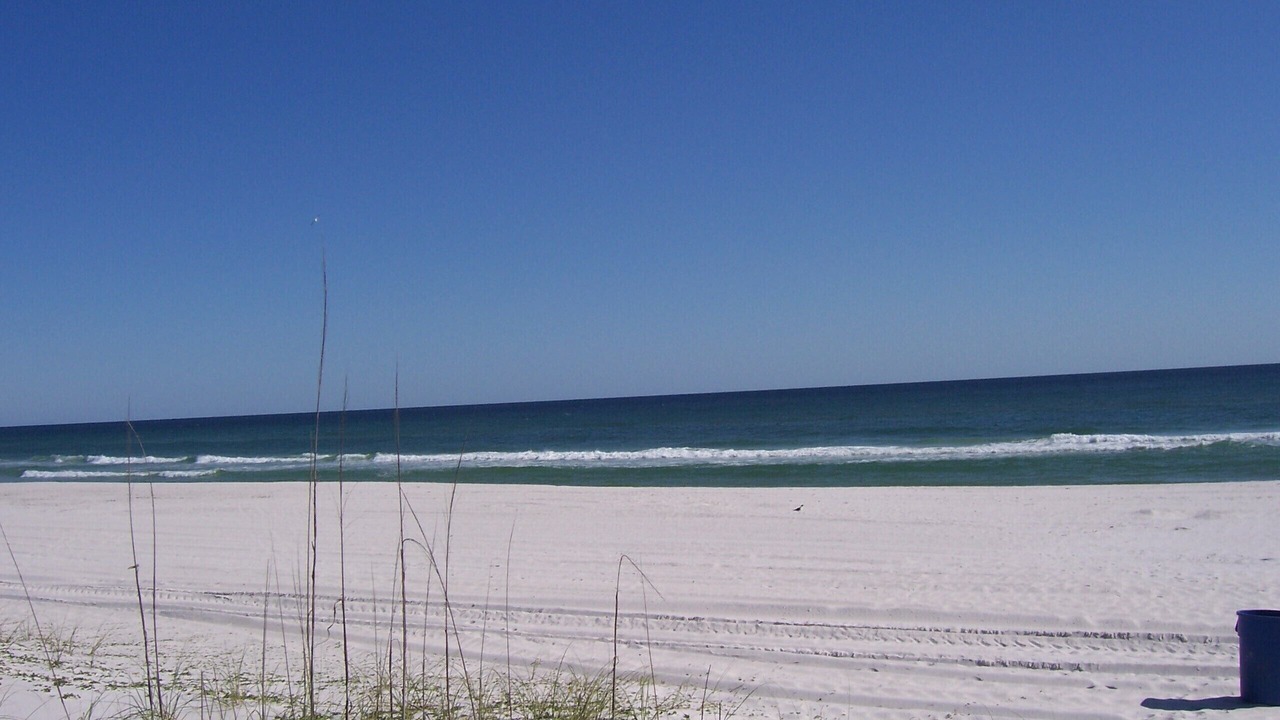 Photo of Others in Sunnyside On The Gulf