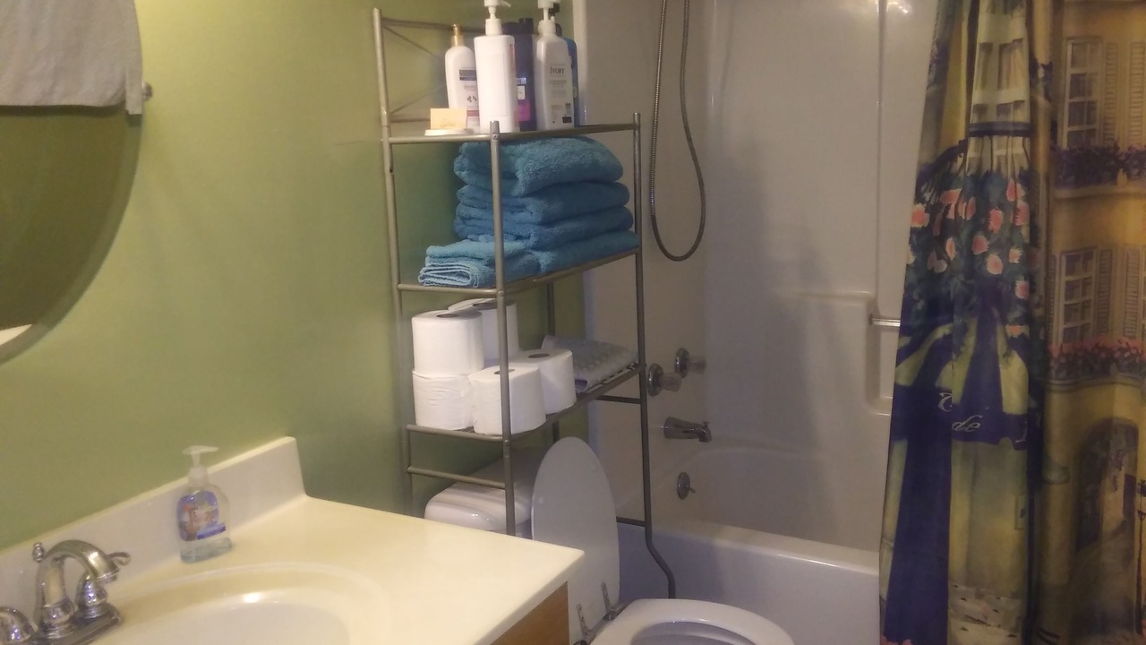 Photo of Bathroom in Diamondhead