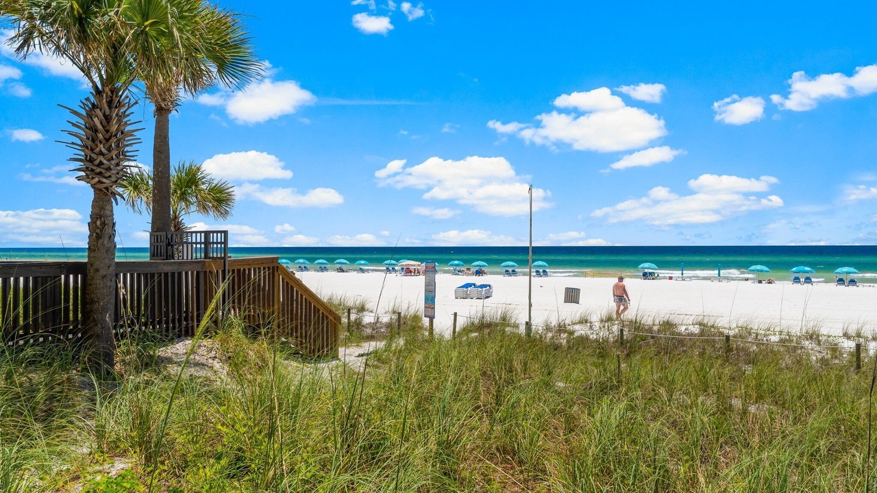 Photo of Others in West Panama City Beach