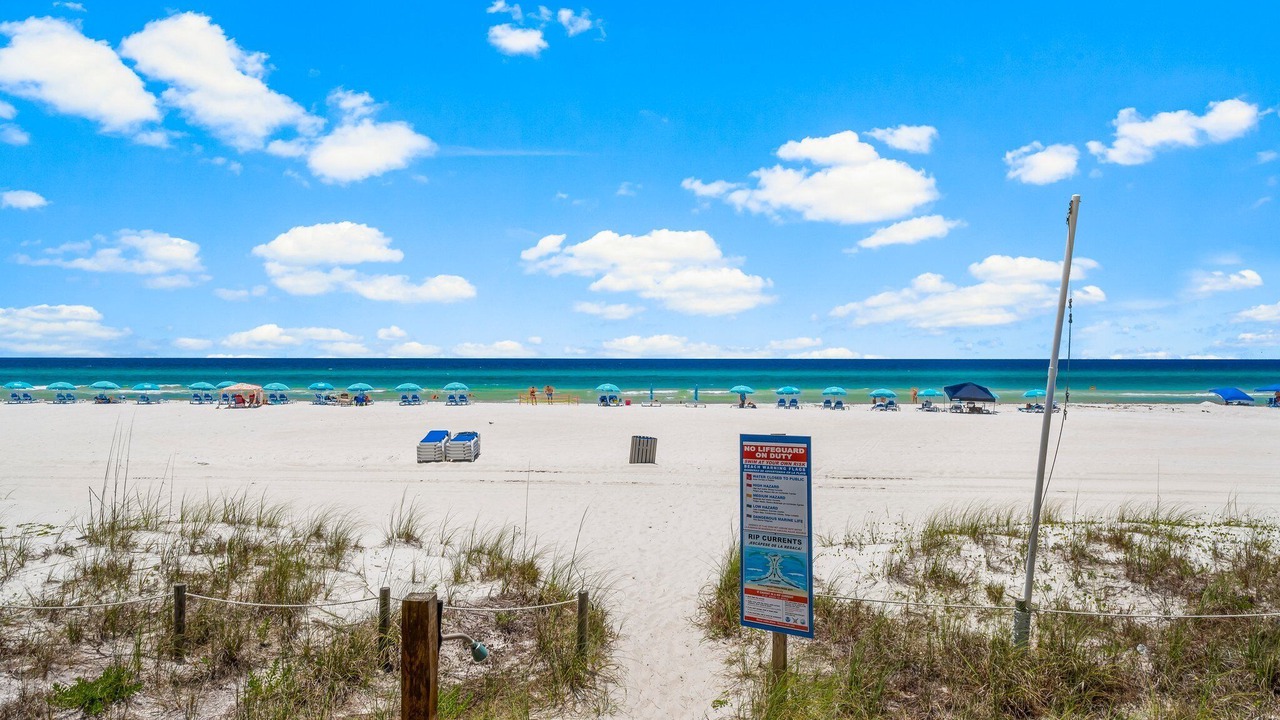Photo of Others in West Panama City Beach