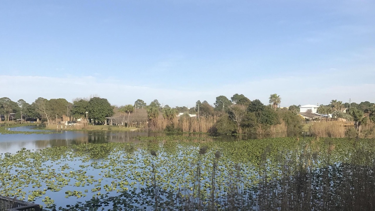 Photo of Outdoor in Panama City Beach