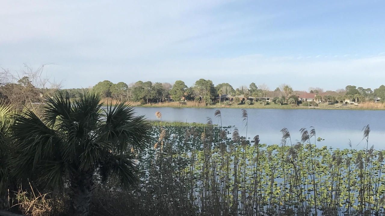 Photo of Outdoor in Panama City Beach