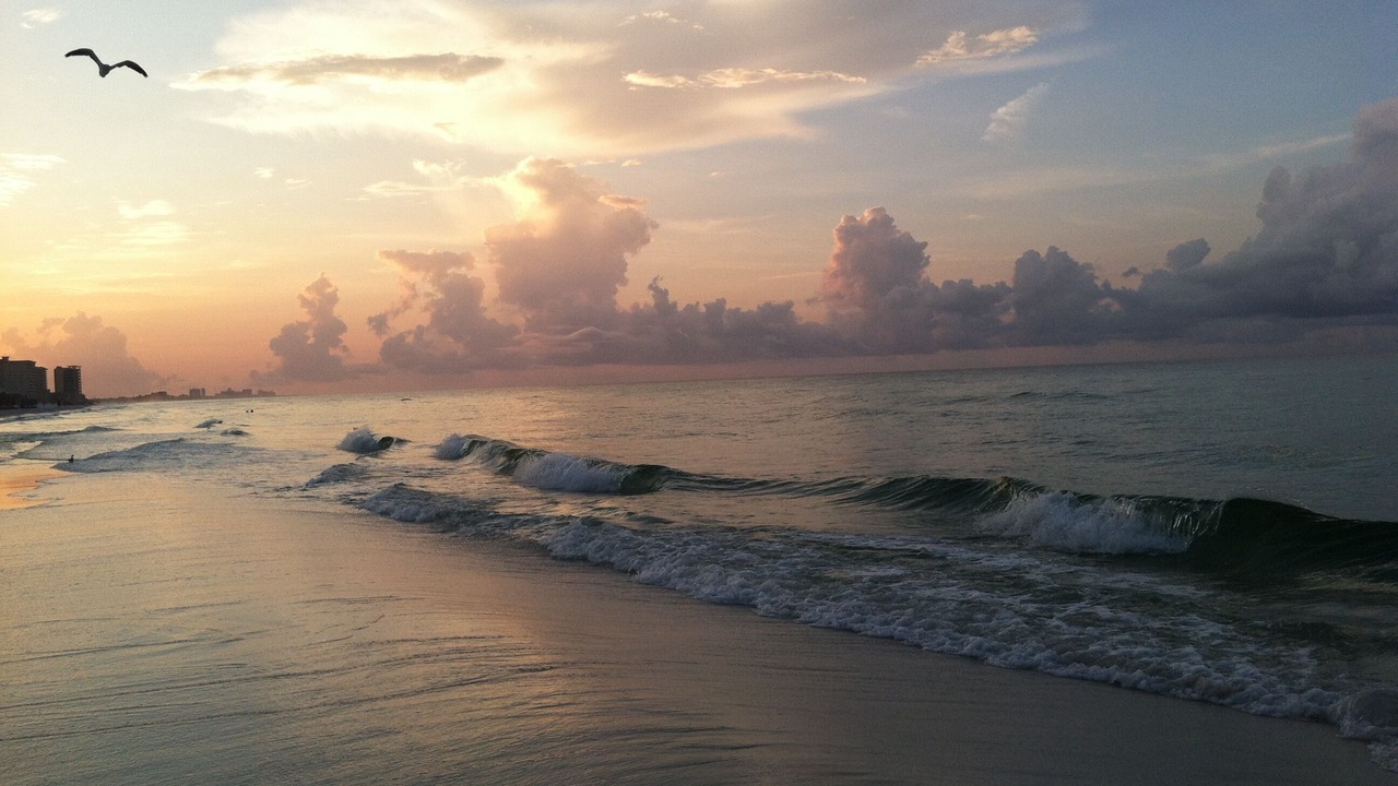 Photo of Others in Destin