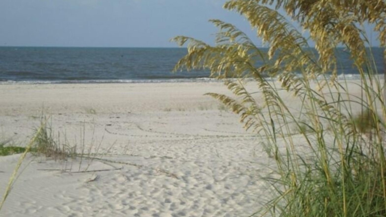 Photo of Others in Cape San Blas