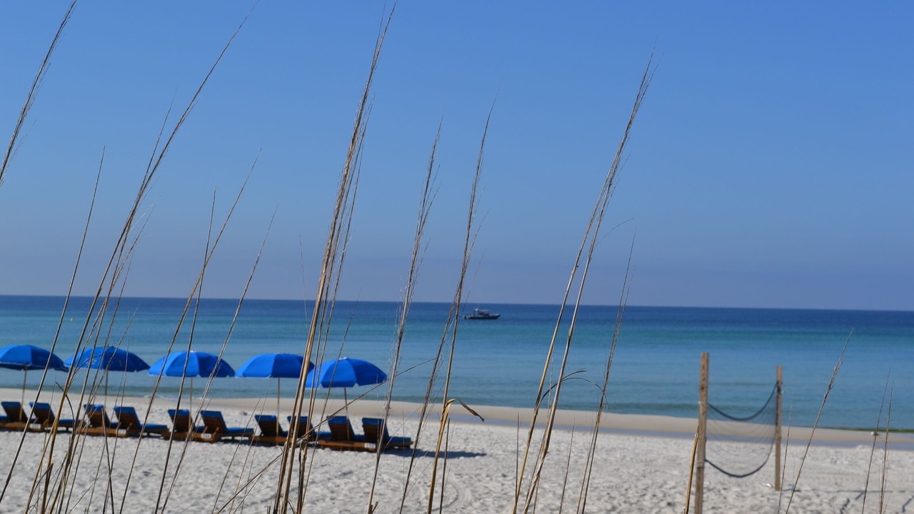 Photo of Others in Gulf Lagoon Beach