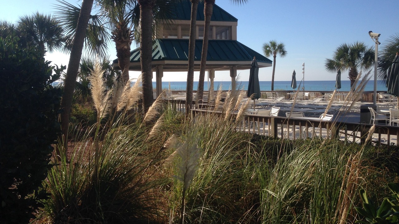Photo of Others in Gulf Lagoon Beach