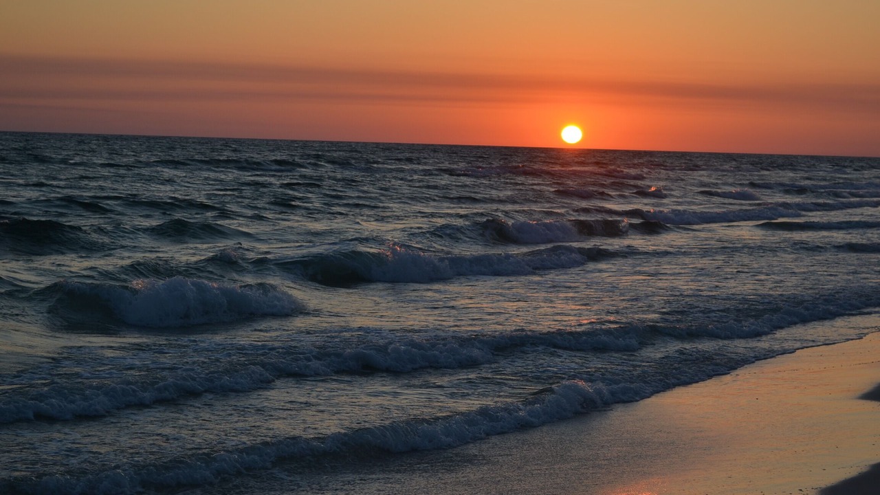 Photo of Others in Gulf Lagoon Beach