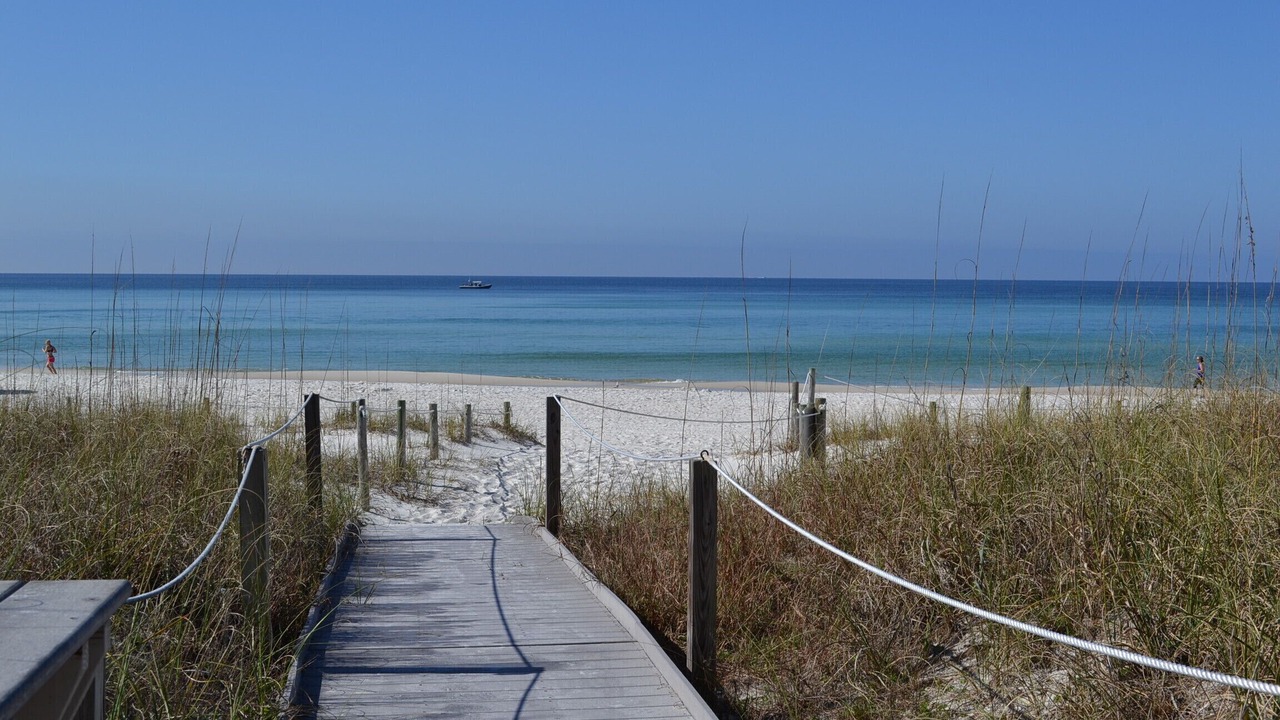 Photo of Others in Gulf Lagoon Beach