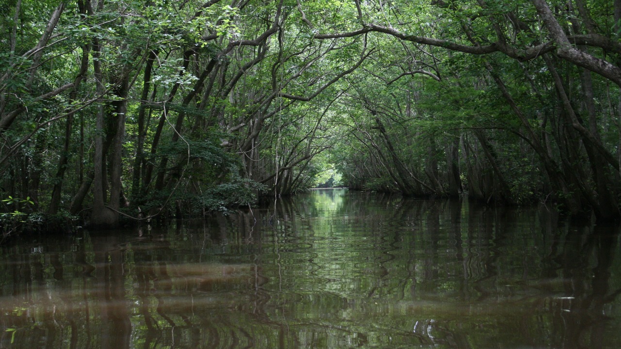Photo of Outdoor in Ponce De Leon