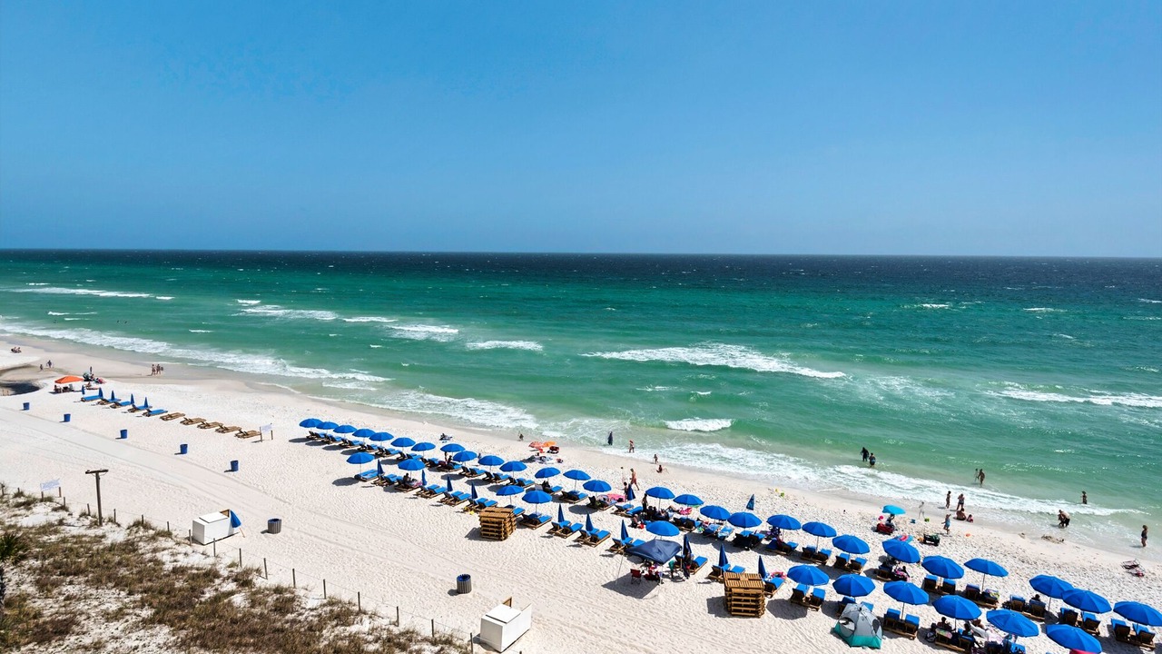 Photo of Others in West Panama City Beach