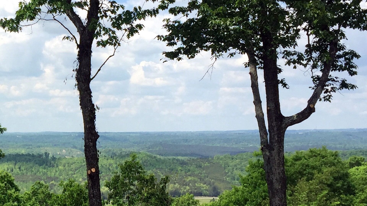 Photo of Others in Mentone