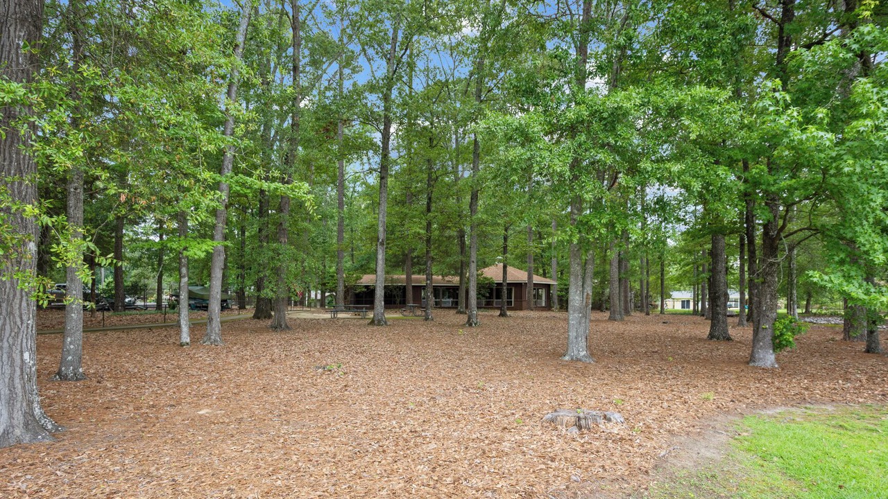 Photo of Outdoor in Flowood