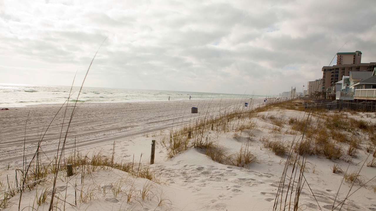 Photo of Others in Crescent Beach