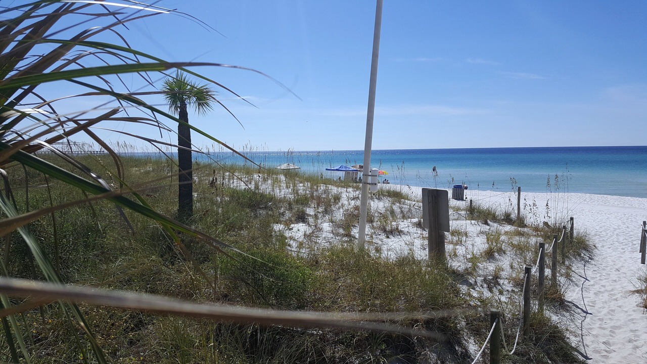 Photo of Others in Bahama Beach