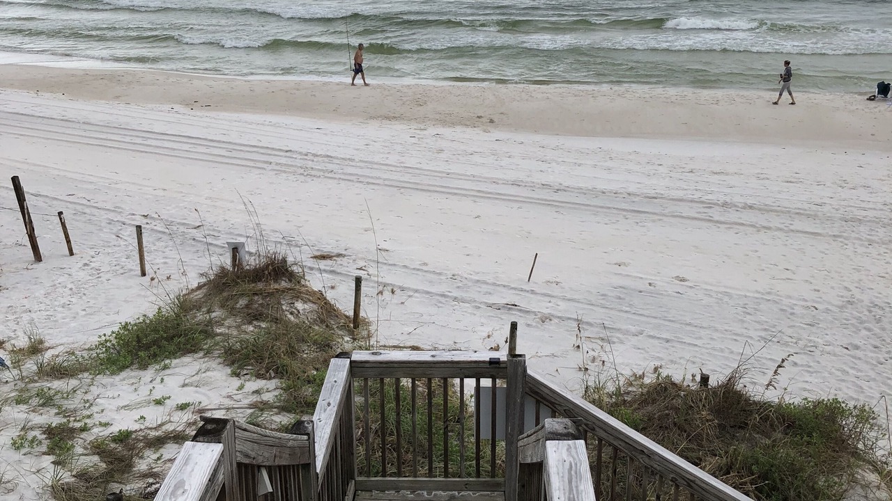 Photo of Others in Fort Bay