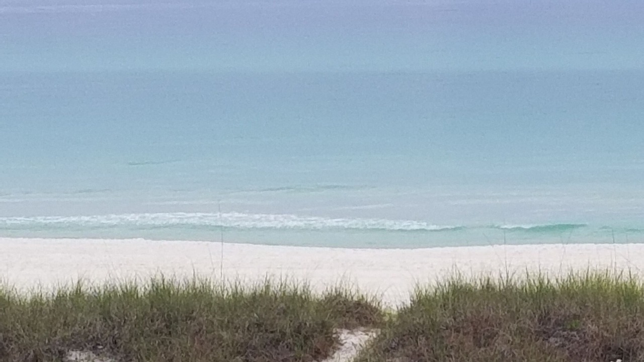Photo of Others in Hollywood Beach