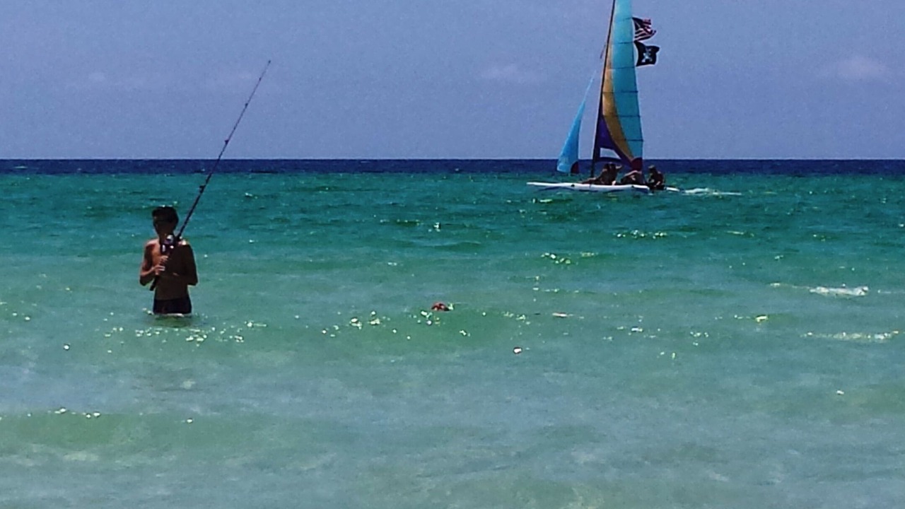 Photo of Others in Hollywood Beach