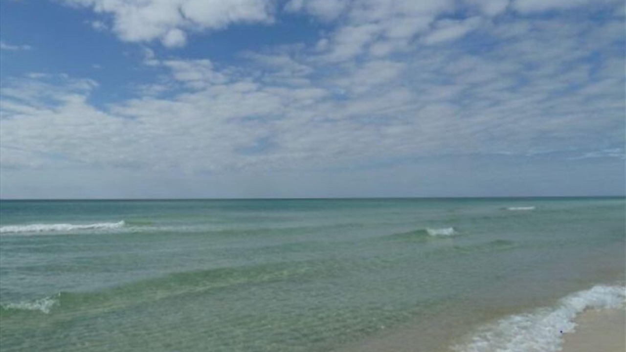 Photo of Others in Hollywood Beach