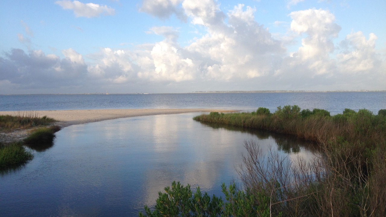 Photo of Others in Ocean Springs