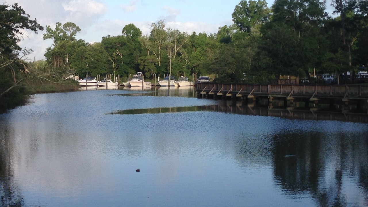 Photo of Others in Ocean Springs