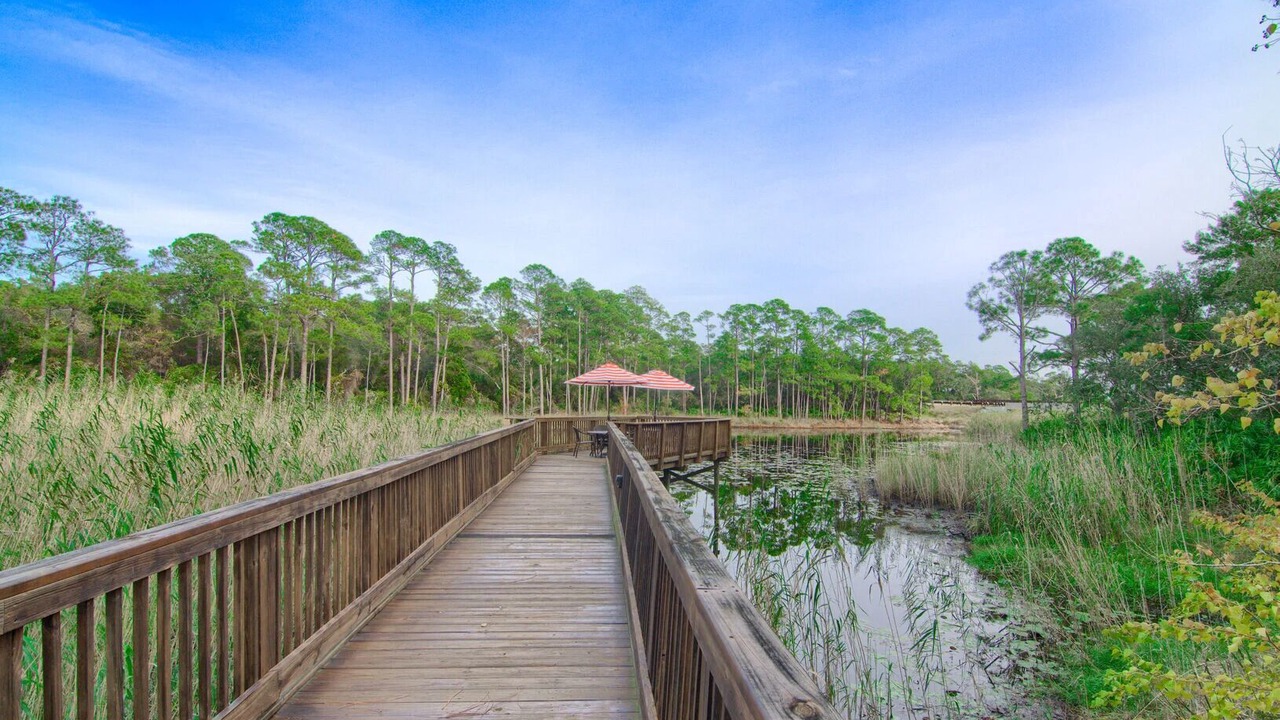 Photo of Others in Santa Rosa Beach