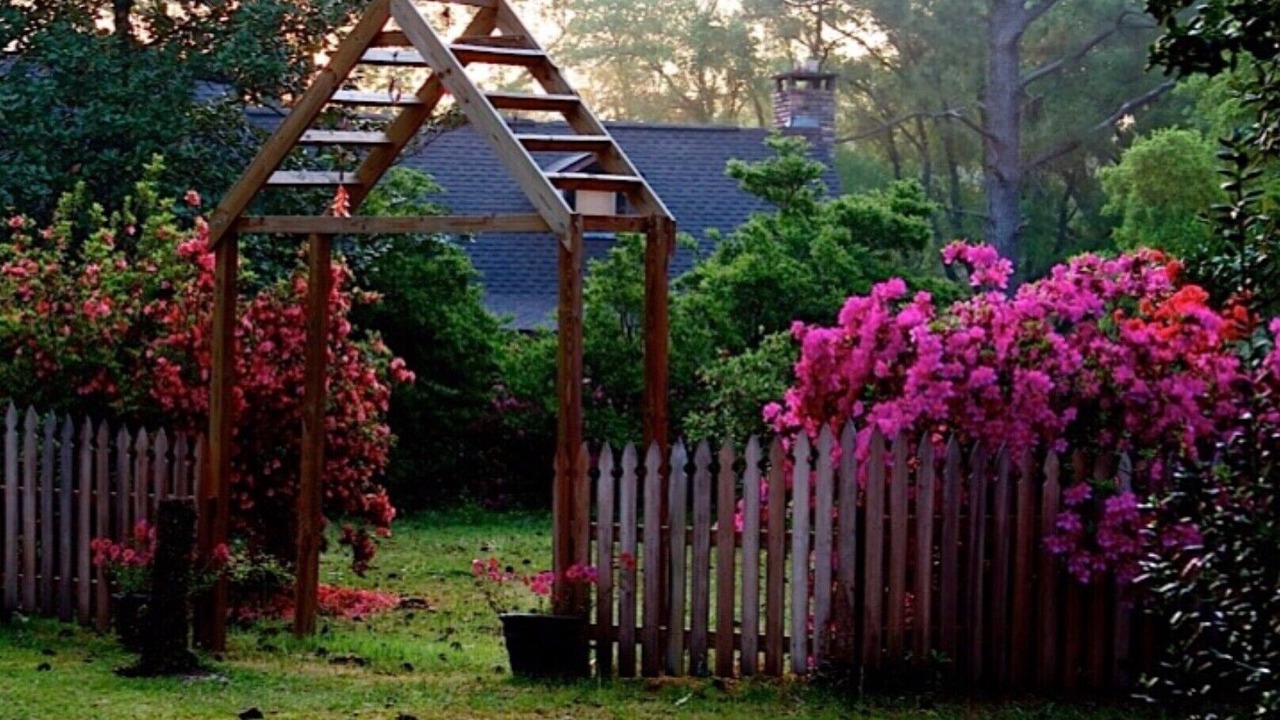 Photo of Outdoor in Folsom