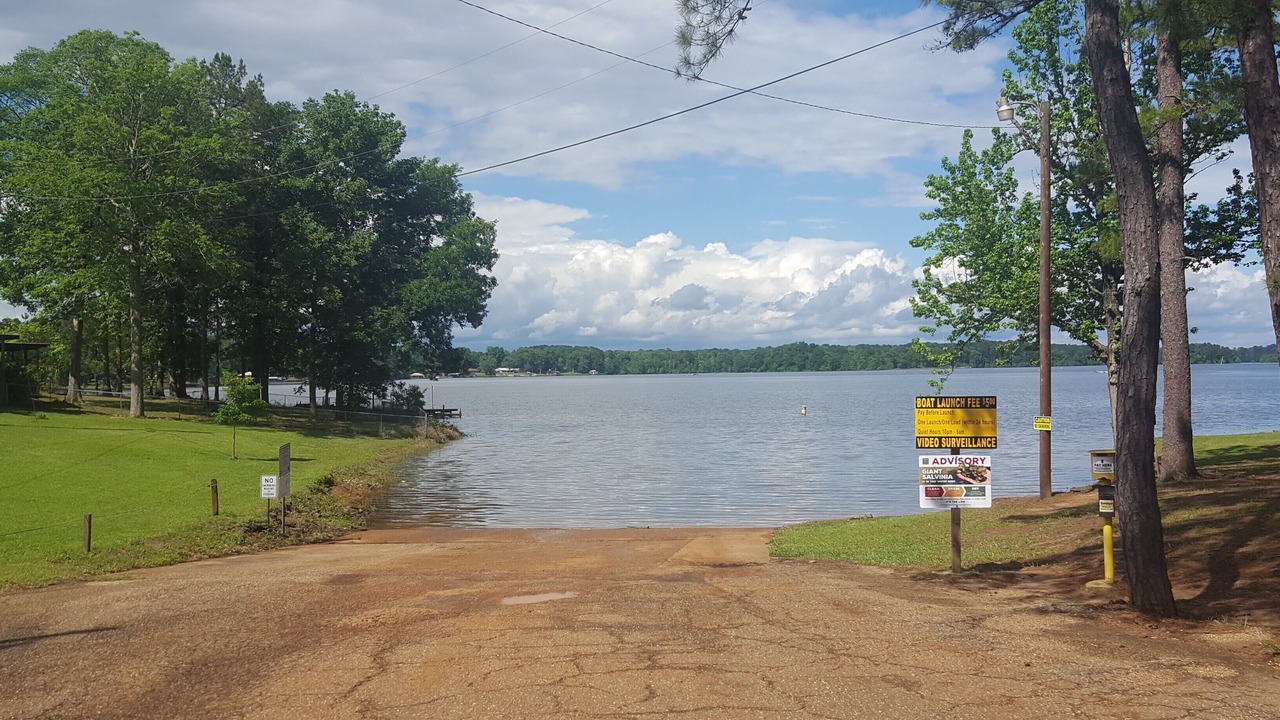 Photo of Others in Hemphill
