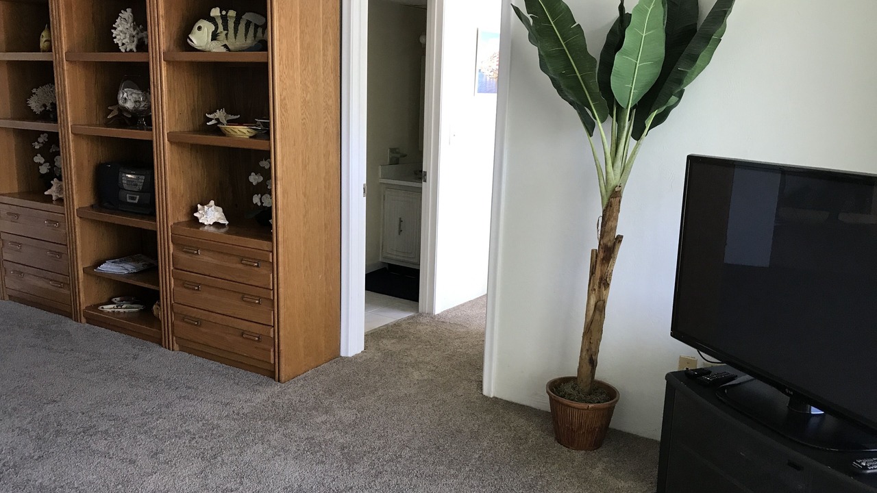 Photo of Livingroom in Ormond Beach