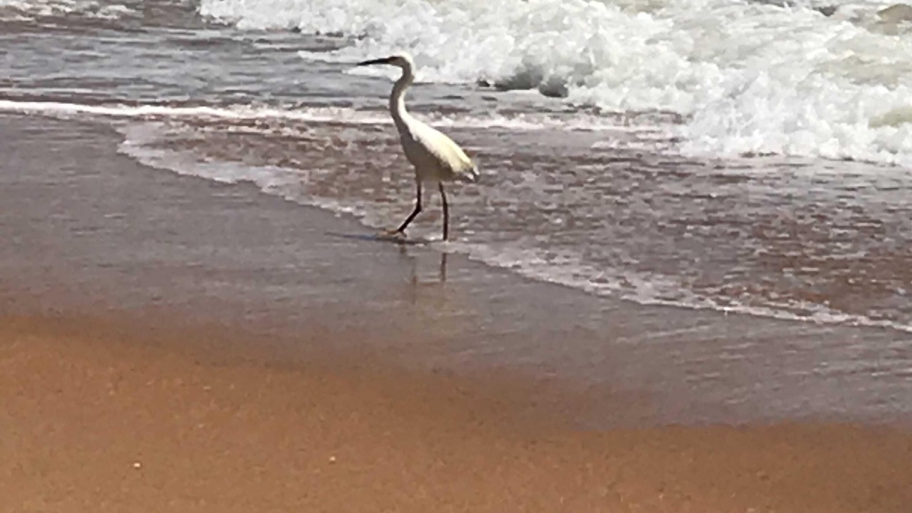 Photo of Others in Ormond Beach