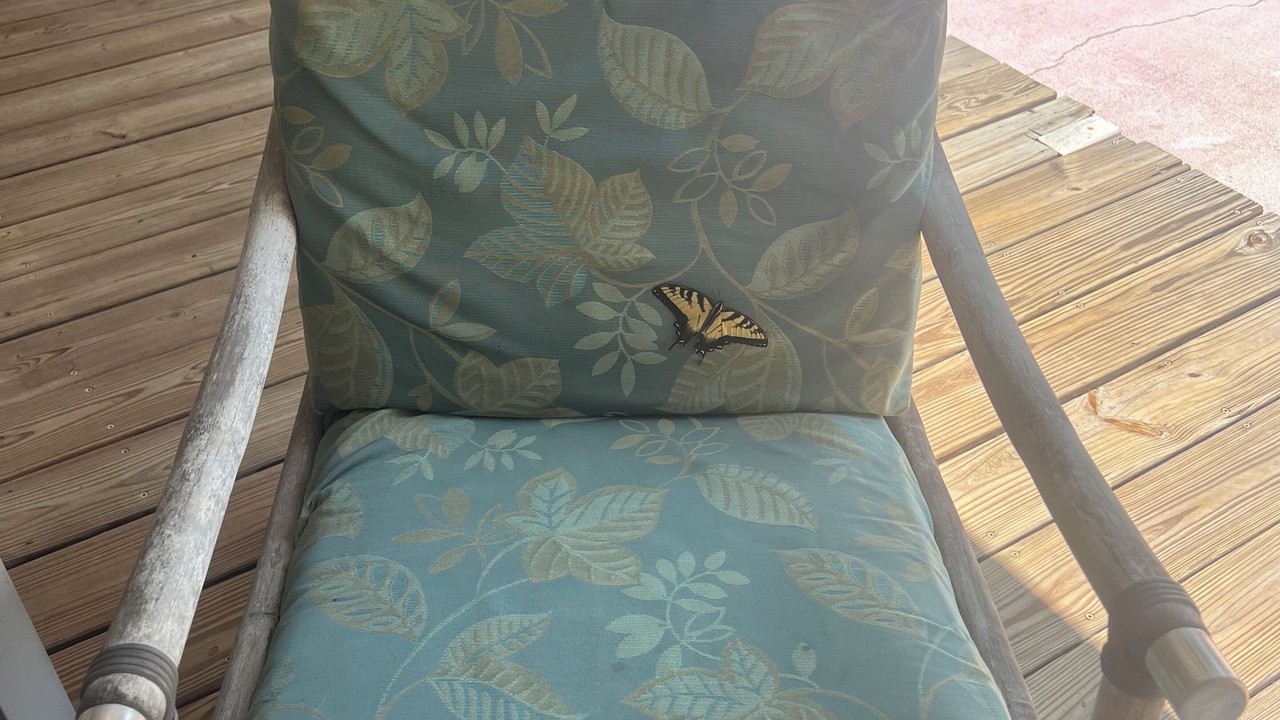 Photo of Patio Balcony in Starkville
